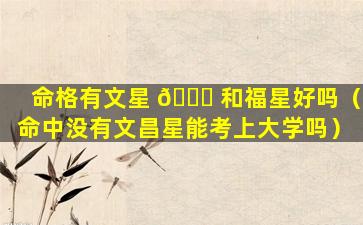命格有文星 🕊 和福星好吗（命中没有文昌星能考上大学吗）